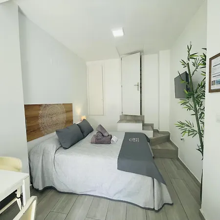 Estudio Jimena Burriana En El Centro De