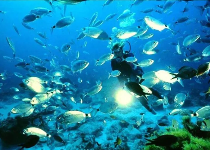 Apartament Estudio Jimena Burriana En El Centro De