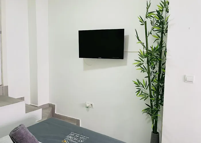 Apartament Estudio Jimena Burriana En El Centro De *