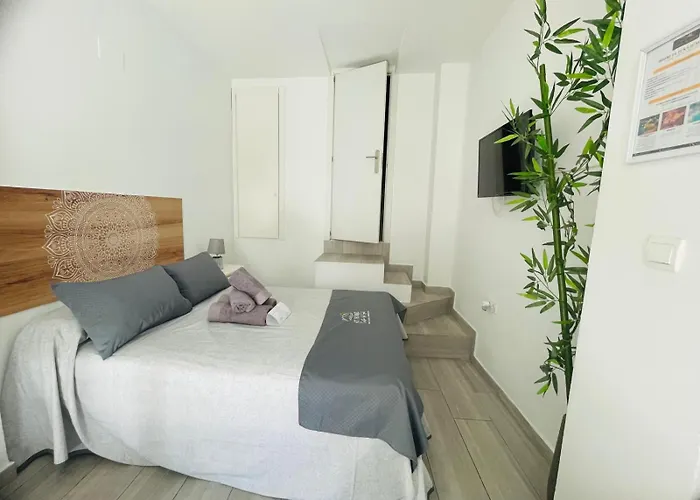 Estudio Jimena Burriana En El Centro De