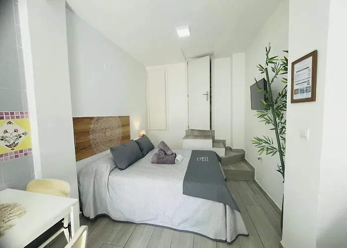 Estudio Jimena Burriana En El Centro De